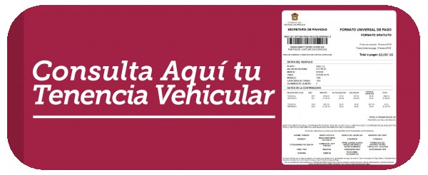TENECIA VEHICULAR